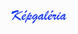 Képgaléria